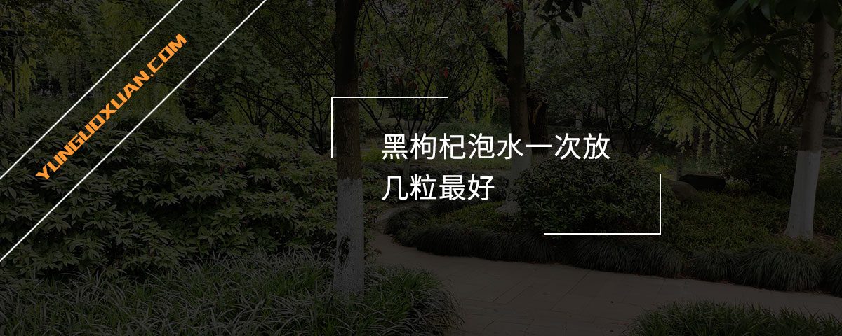 黑枸杞泡水一次放幾粒最好？