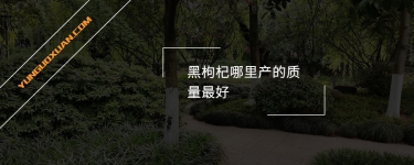 黑枸杞哪里產(chǎn)的質(zhì)量最好？