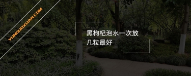 黑枸杞泡水一次放幾粒最好？