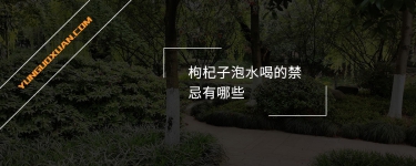 枸杞子泡水喝的禁忌有哪些？