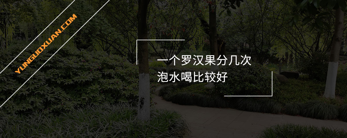 一個羅漢果分幾次泡水喝比較好？