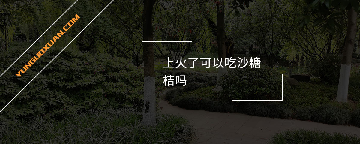 上火了可以吃沙糖桔嗎？