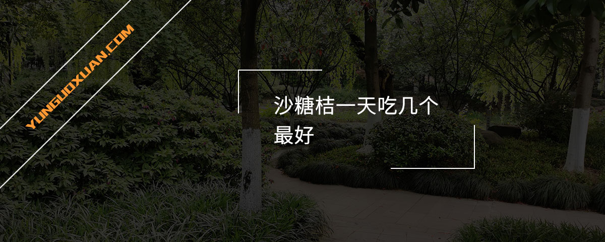 沙糖桔一天吃幾個(gè)最好？