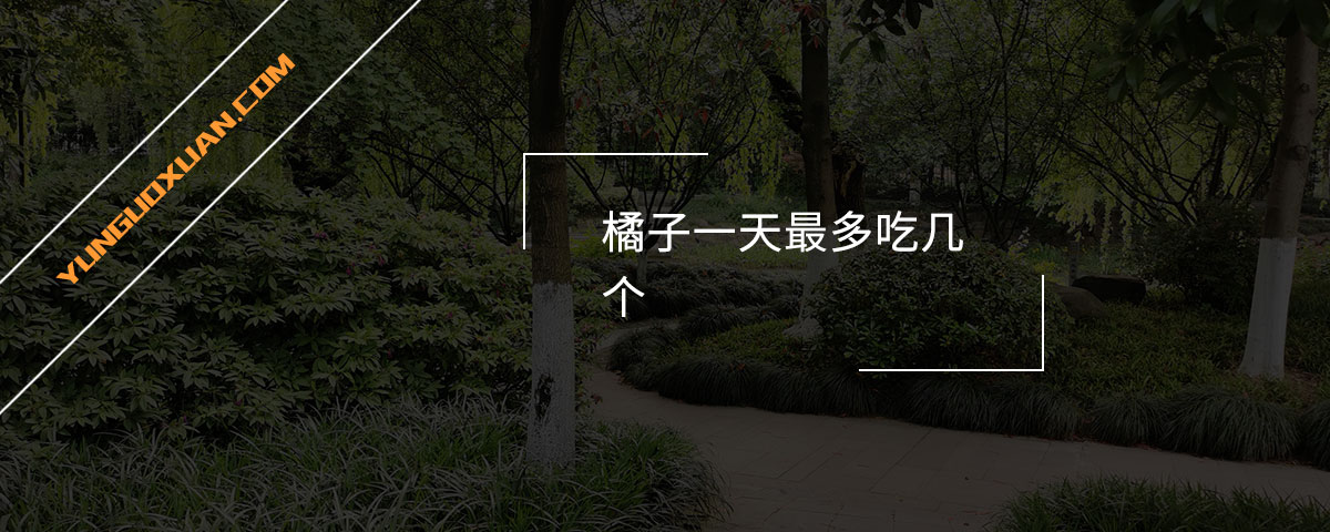 橘子一天最多吃幾個？