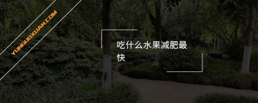 吃什么水果減肥最快？