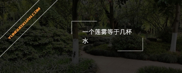 一個(gè)蓮霧等于幾杯水？