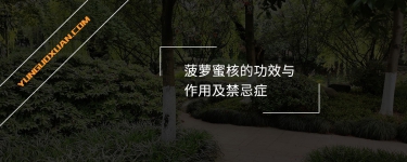 菠蘿蜜核的功效與作用及禁忌癥