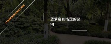 菠蘿蜜和榴蓮的區(qū)別