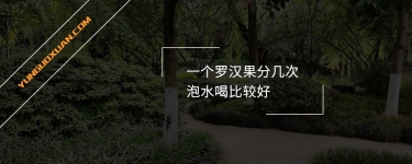 一個(gè)羅漢果分幾次泡水喝比較好？