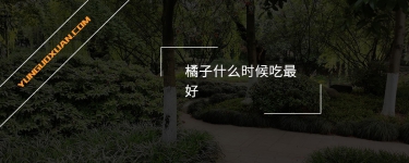 橘子什么時候吃最好？