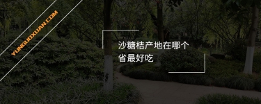 沙糖桔產(chǎn)地在哪個(gè)省最好吃？