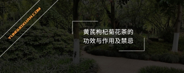 黃芪枸杞菊花茶的功效與作用及禁忌