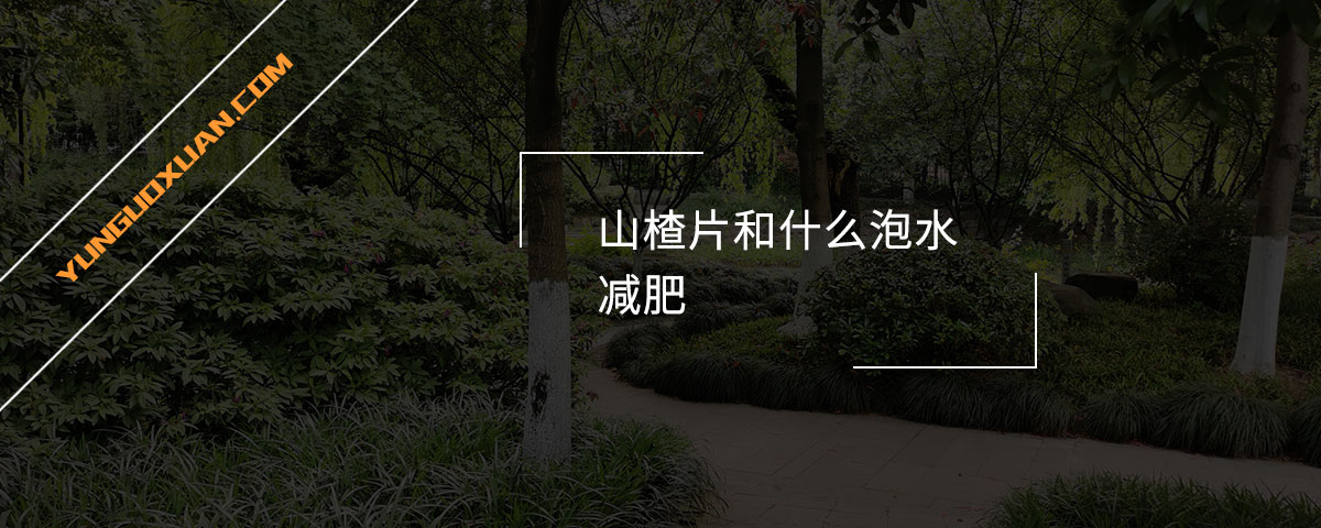 山楂片和什么泡水減肥？