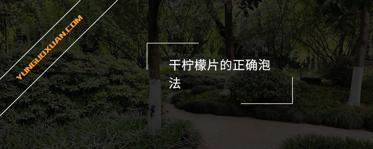 干檸檬片的正確泡法