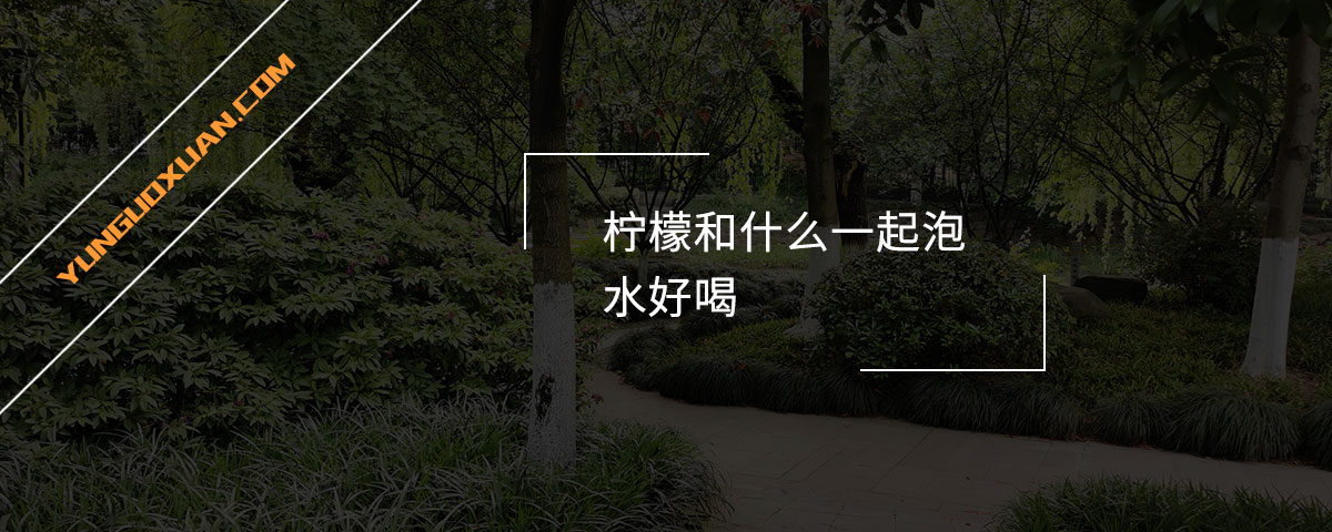 檸檬和什么一起泡水好喝？