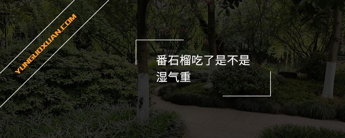 番石榴吃了是不是濕氣重？