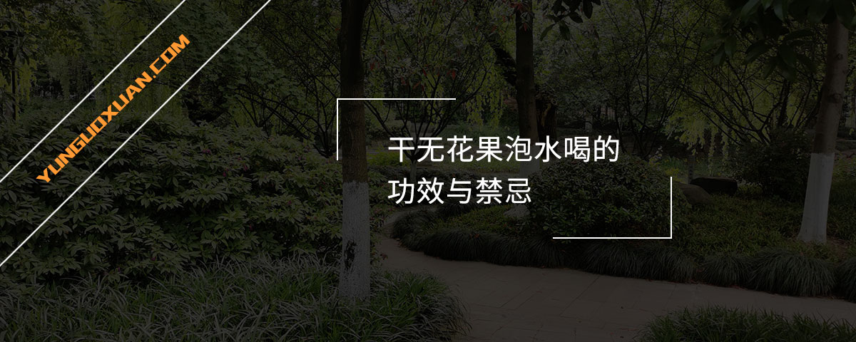 干無(wú)花果泡水喝的功效與禁忌