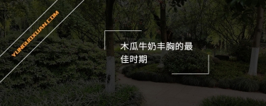 木瓜牛奶豐胸的最佳時(shí)期