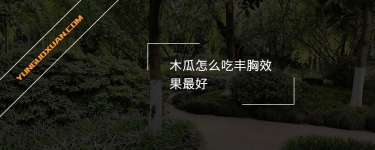 木瓜怎么吃豐胸效果最好？