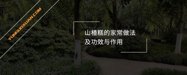 山楂糕的家常做法及功效與作用