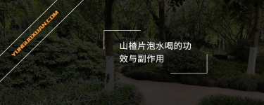 山楂片泡水喝的功效與副作用