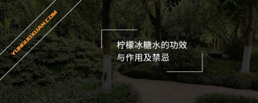 檸檬冰糖水的功效與作用及禁忌