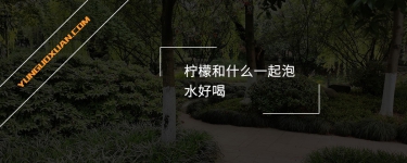 檸檬和什么一起泡水好喝？