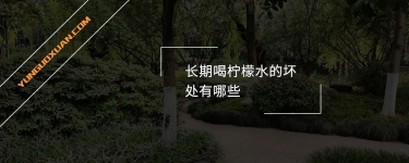 長期喝檸檬水的壞處有哪些？