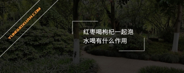 紅棗和枸杞一起泡水喝有什么作用？