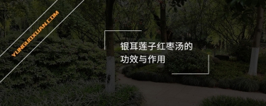 銀耳蓮子紅棗湯的功效與作用