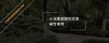火龍果是酸性還是堿性食物？