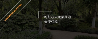吃紅心火龍果尿液會變紅嗎？