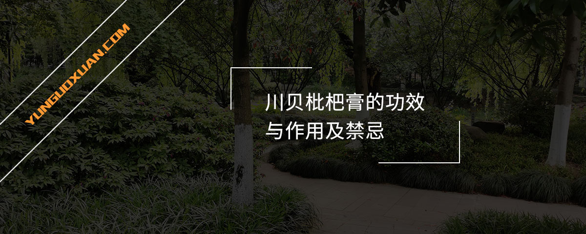 川貝枇杷膏的功效與作用及禁忌