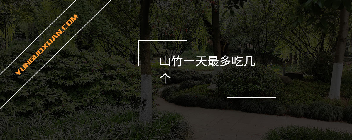 山竹一天最多吃幾個？