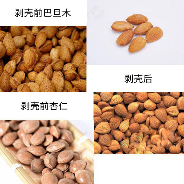 巴旦木與杏仁的區(qū)別