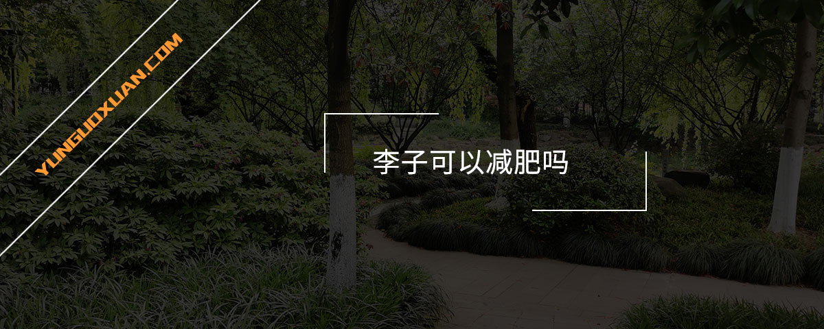 李子可以減肥嗎？