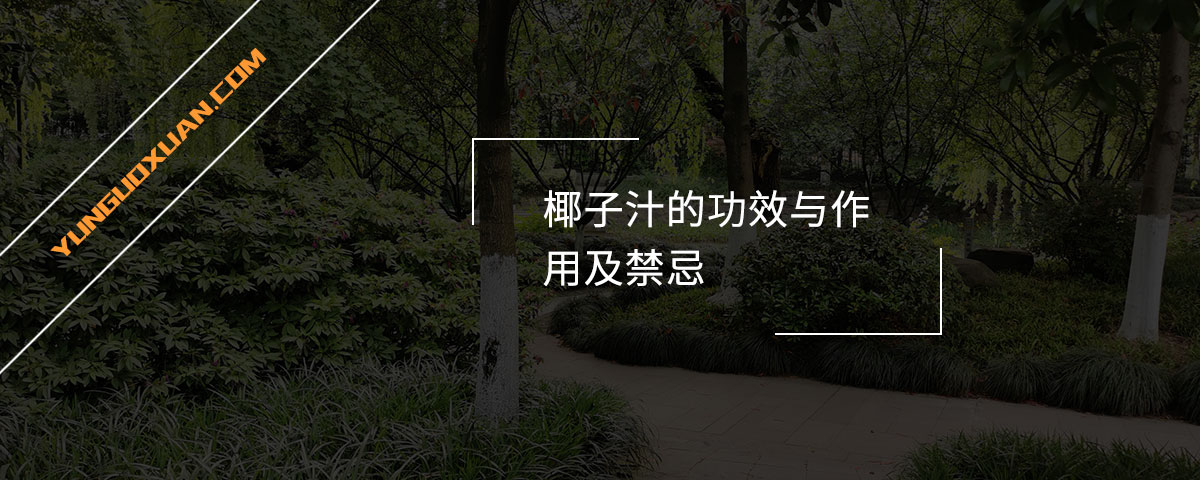 椰子汁的功效與作用及禁忌