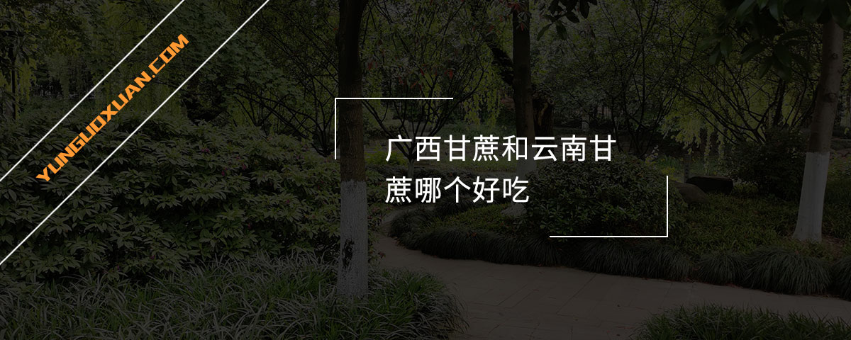 廣西甘蔗和云南甘蔗哪個(gè)好吃？