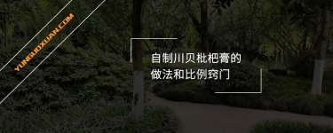 自制川貝枇杷膏的做法和比例竅門(mén)