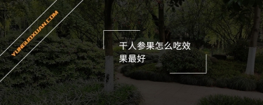 干人參果怎么吃效果最好？