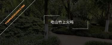吃山竹上火嗎？