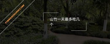 山竹一天最多吃幾個？