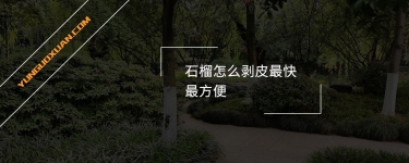 石榴怎么剝皮最快最方便？