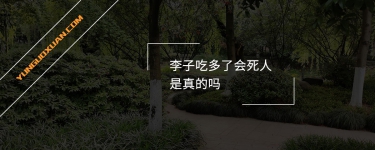 李子吃多了會(huì)死人是真的嗎？