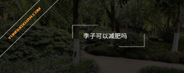 李子可以減肥嗎？