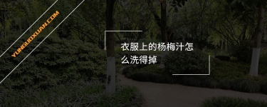 衣服上的楊梅汁怎么洗得掉？