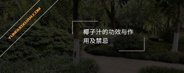 椰子汁的功效與作用及禁忌