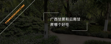 廣西甘蔗和云南甘蔗哪個(gè)好吃？