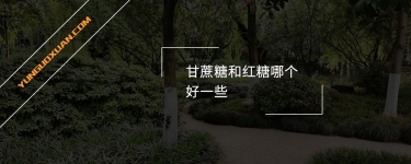 甘蔗糖和紅糖哪個好一些？