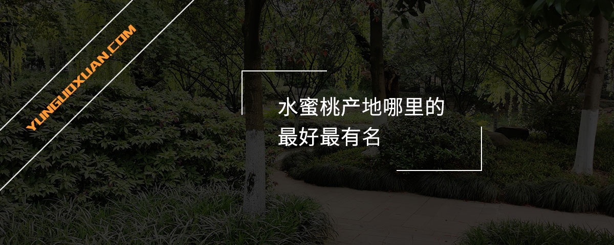 水蜜桃產(chǎn)地哪里的最好最有名？